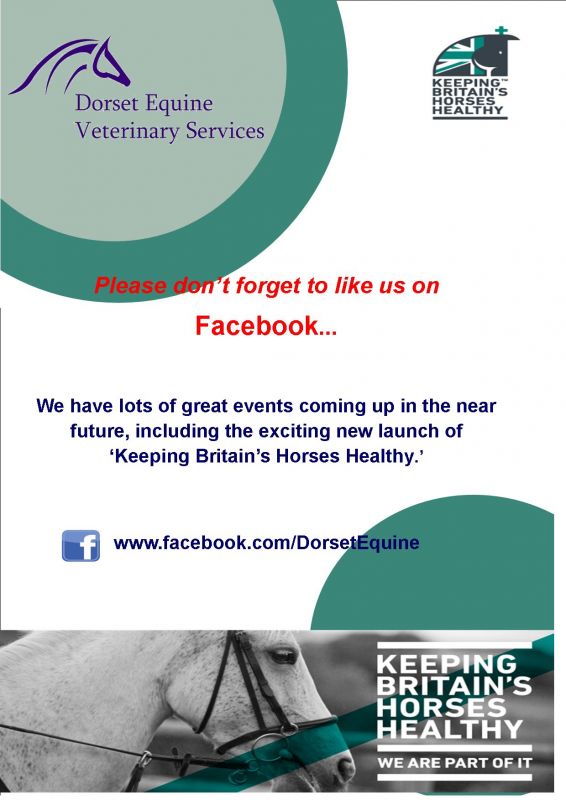 Keeping Britain's Horses Healthy